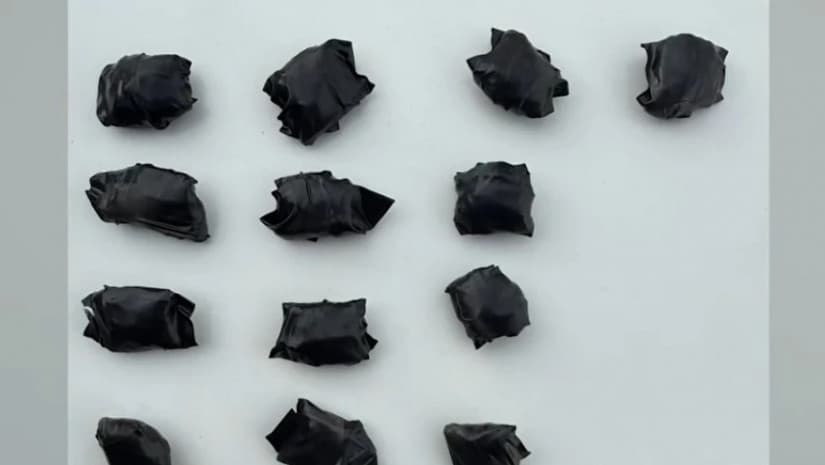 Five arrested in Tbilisi on drug possession,  trafficking charges