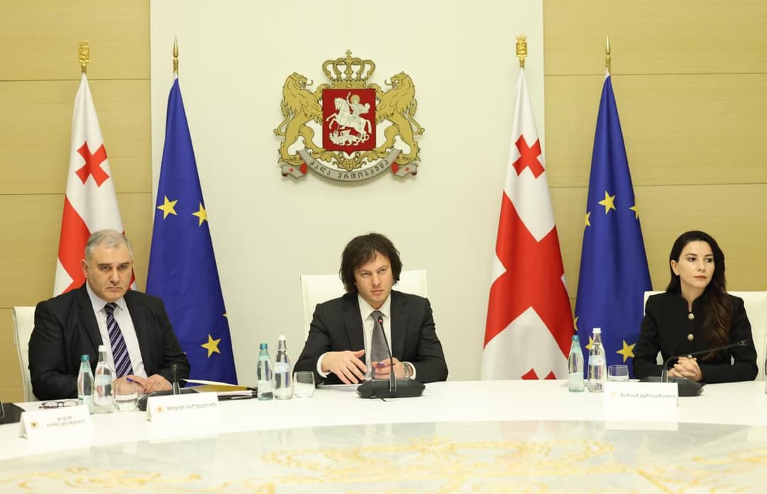 Georgian PM discusses possible price reductions for medicines, pharmacy products