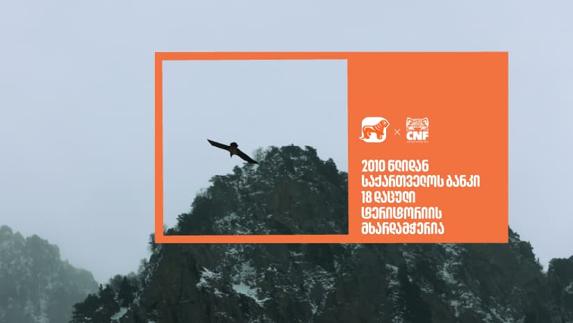 "საქართველოს ბანკი" 2010 წლიდან 18 დაცული ტერიტორიის მხარდამჭერია