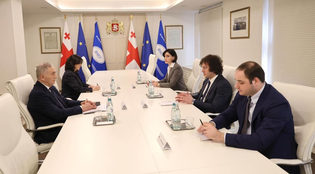 PM Kobakhidze meets Black Sea economic cooperation chief Comănescu