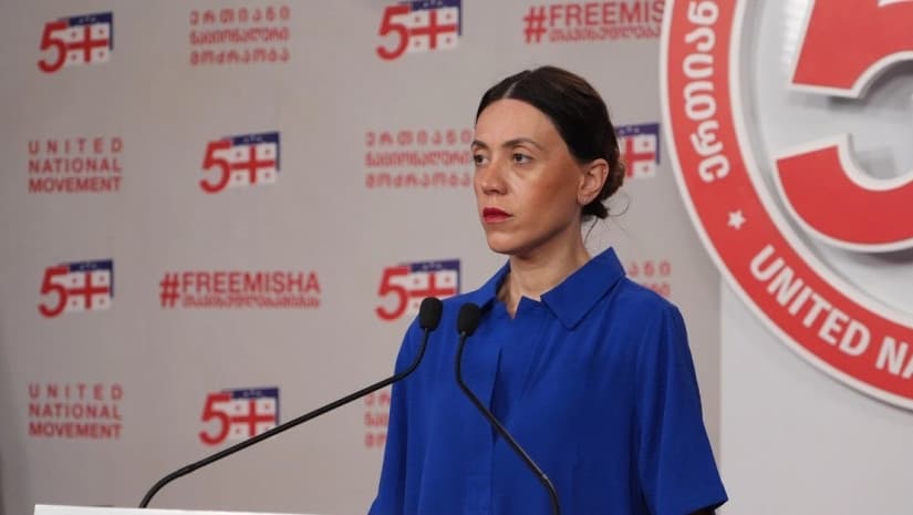 Tsitlidze said the opposition had yet to agree on a shared strategy of struggle, which she described as the key objective