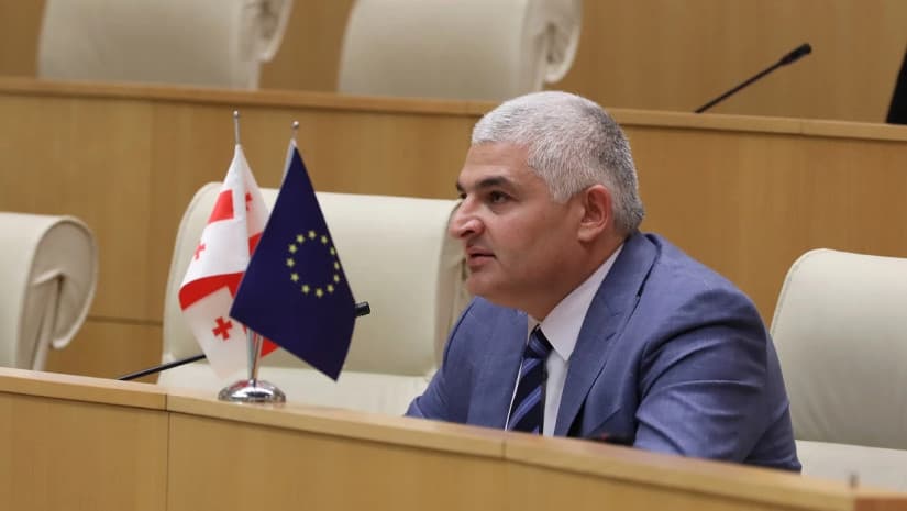 MP Sosiashvili accuses Transparency Int’l of ‘misleading public’ over grant law changes