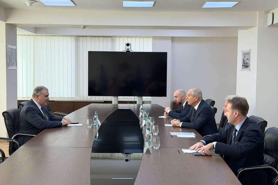 ჯანდაცვის სამინისტრო საქართველოში ბავშვთა ჰემატო-ონკოლოგიური სერვისების გაუმჯობესების მიზნით მუშაობას აგრძელებს