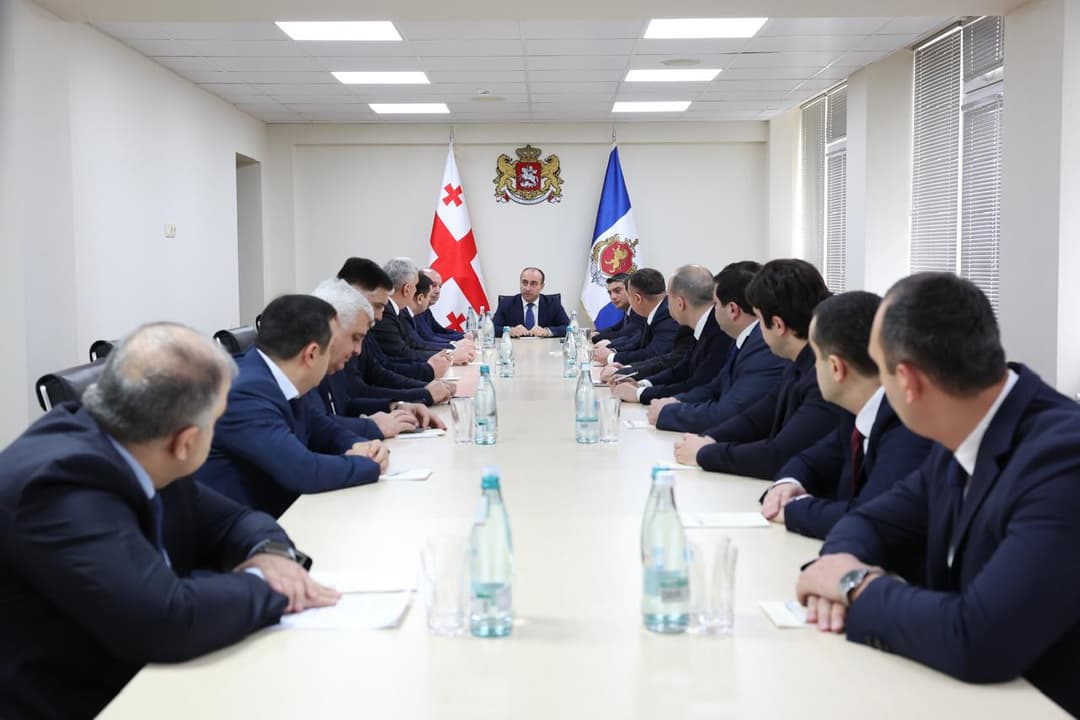 გეკა გელაძემ თბილისის პოლიციის დეპარტამენტში სამუშაო შეხვედრა გამართა