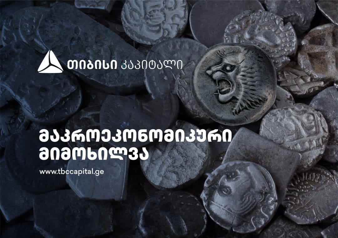 გაცვლითი კურსის ბიზნესსტრატეგია: წარმატების მაგალითი საქართველოს კომერციული უძრავი ქონების სექტორში