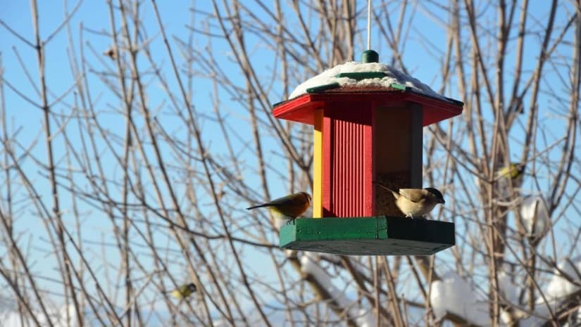 5-7 თებერვალს მოსალოდნელი ამინდი საქართველოში
