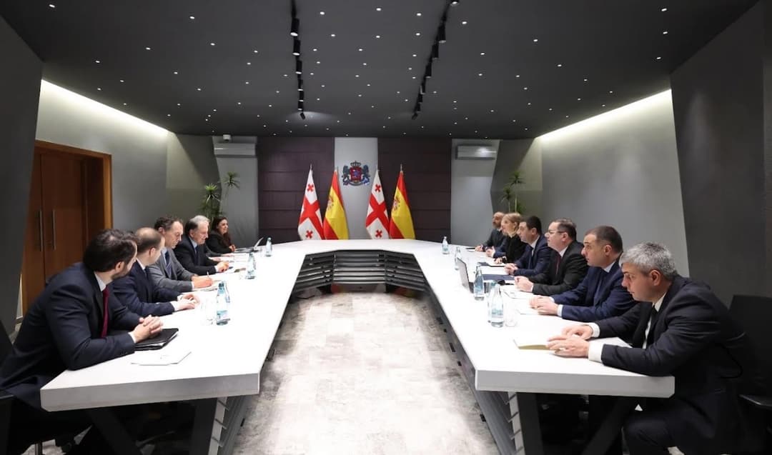 შსს-ს ესპანეთის ეროვნული პოლიციის დელეგაცია სამუშაო ვიზიტით ეწვია