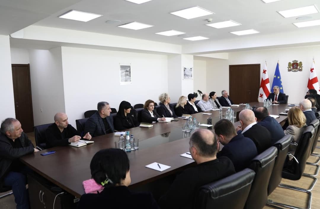 მიხეილ სარჯველაძე სოციალური მომსახურების სააგენტოს ხელმძღვანელებს შეხვდა