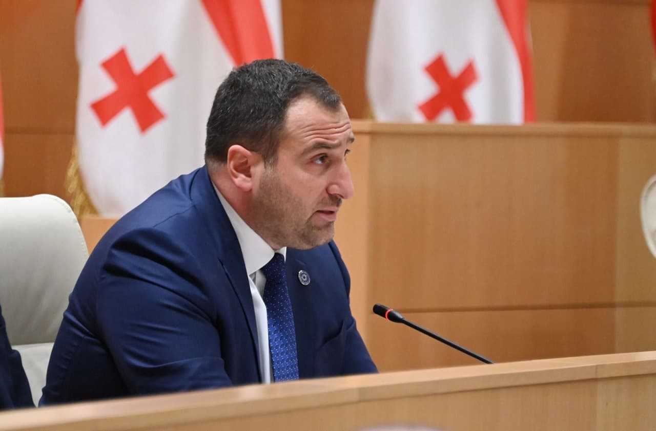 Georgian ruling party leader rejects Swedish concerns over human rights