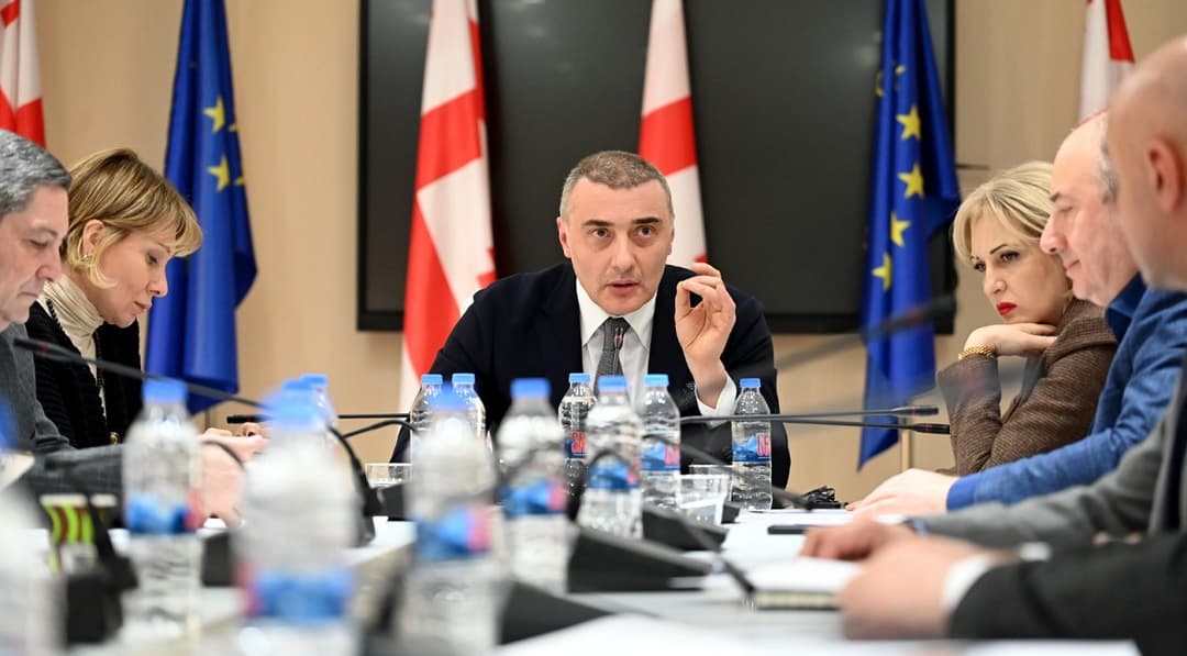 სასურსათო პროდუქციის, მედიკამენტებისა და საწვავის ფასწარმოქმნის სტრუქტურის შემსწავლელმა დროებითმა კომისიამ საორგანიზაციო სხდომა გამართა