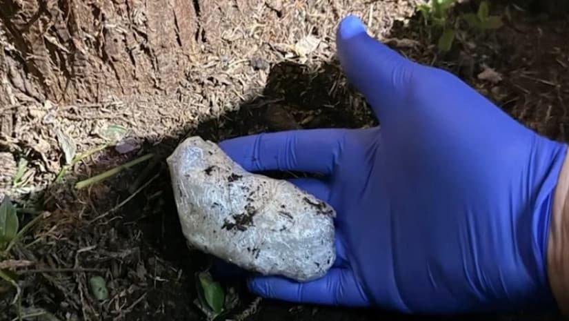 Large quantity of drugs seized in Georgia’s Adjara region, Russian citizen arrested