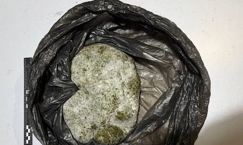 Two arrested in Tbilisi on charges of large-scale drug possession, trafficking