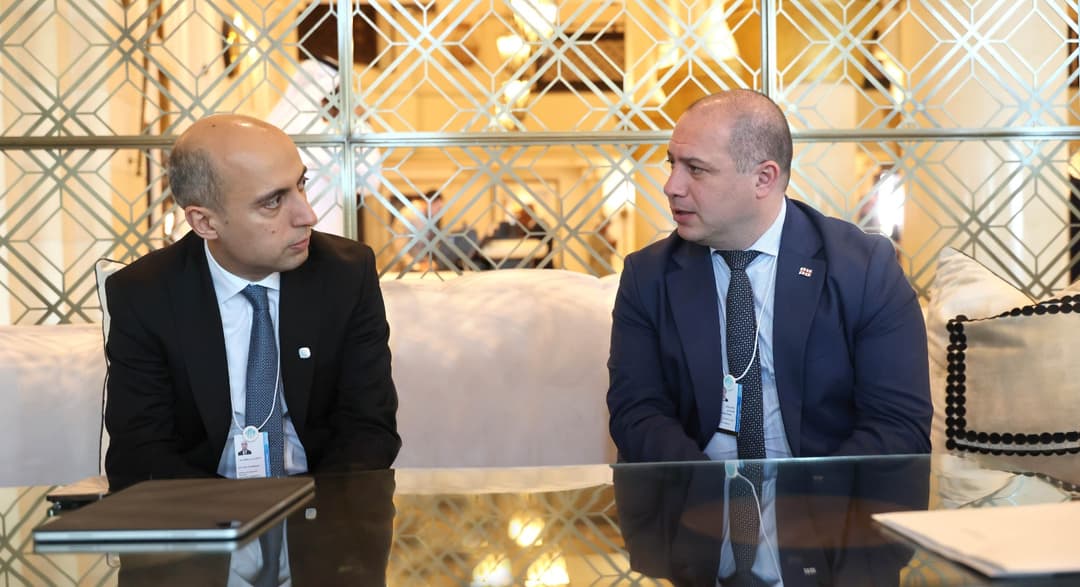 გივი მიქანაძემ აზერბაიჯანელ კოლეგასთან შეხვედრა გამართა