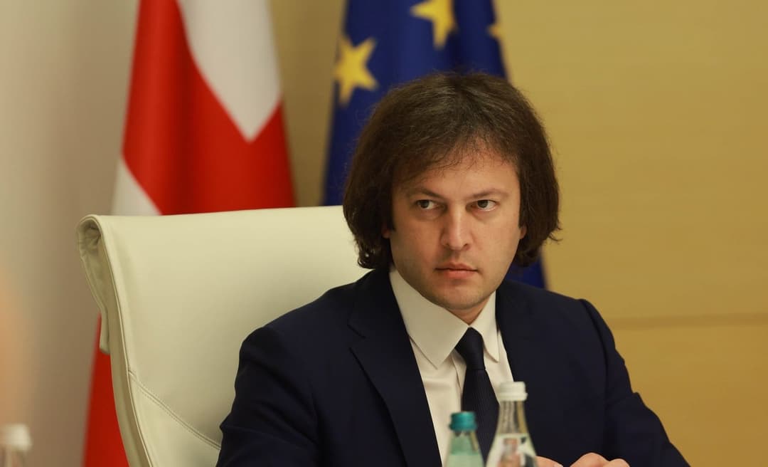 Georgia to establish multifunctional bank modelled on energy development fund, PM 