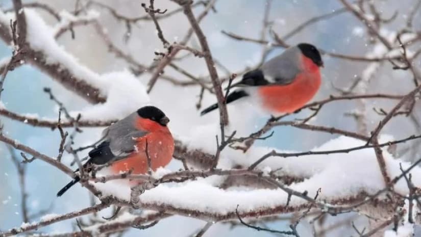 გარემოს ეროვნული სააგენტო მოსახლეობას ამინდის გაუარესების შესახებ აფრთხილებს