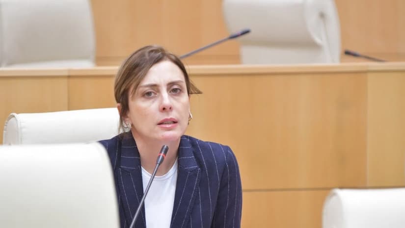 Georgia’s human rights situation discussed in US Congress, opposition leader 