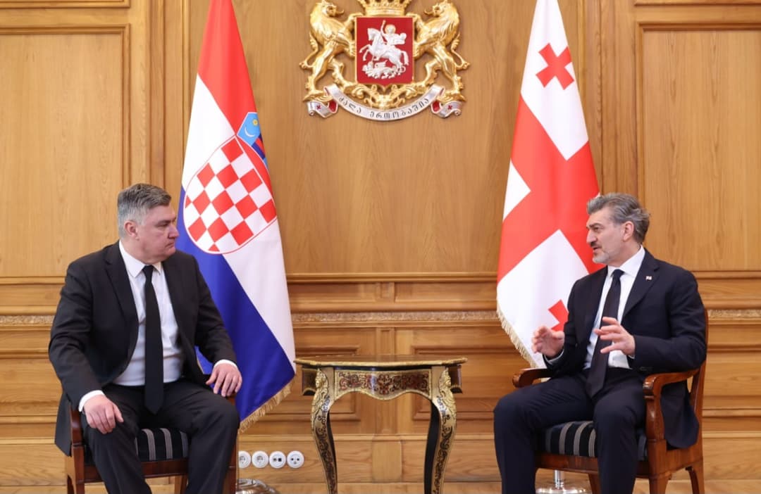 Georgian, Croatian presidents hold first-ever bilateral meeting in Tbilisi