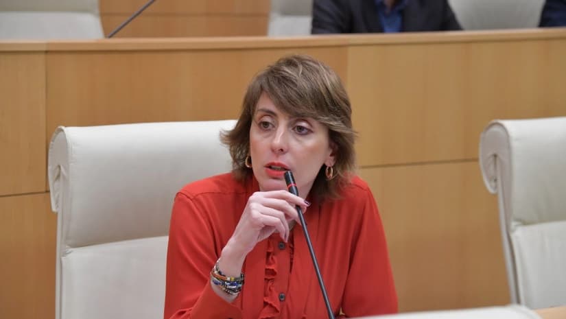  Khatia Dekanoidze stressed the importance of a unified and coordinated opposition to safeguard democracy in Georgia
