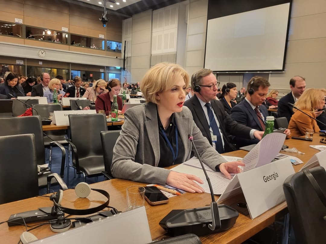 ეკა სეფაშვილი ეუთოს საპარლამენტო ასამბლეის პლენარულ სხდომაზე სიტყვით გამოვიდა