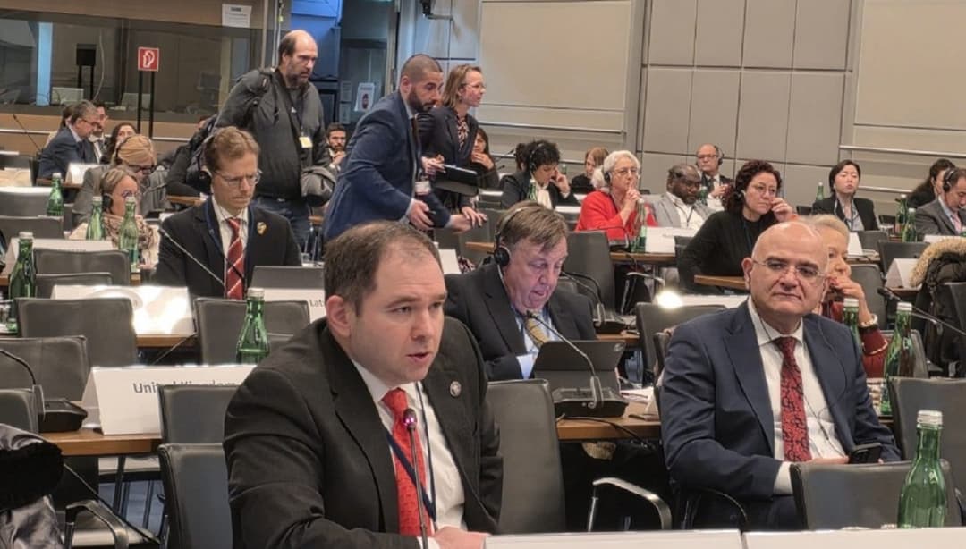 Foreign Committee Chair Samkharadze raises occupation issue at OSCE PA winter session