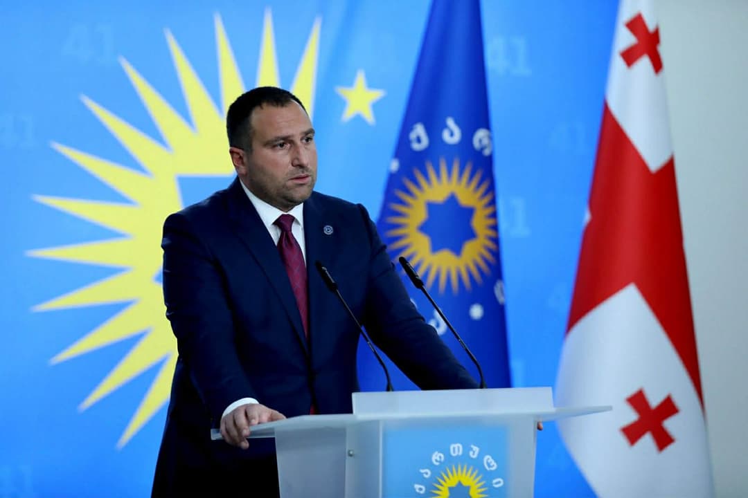 Ruling party leader Kirtskhalia criticises foreign envoys over statements on Georgia