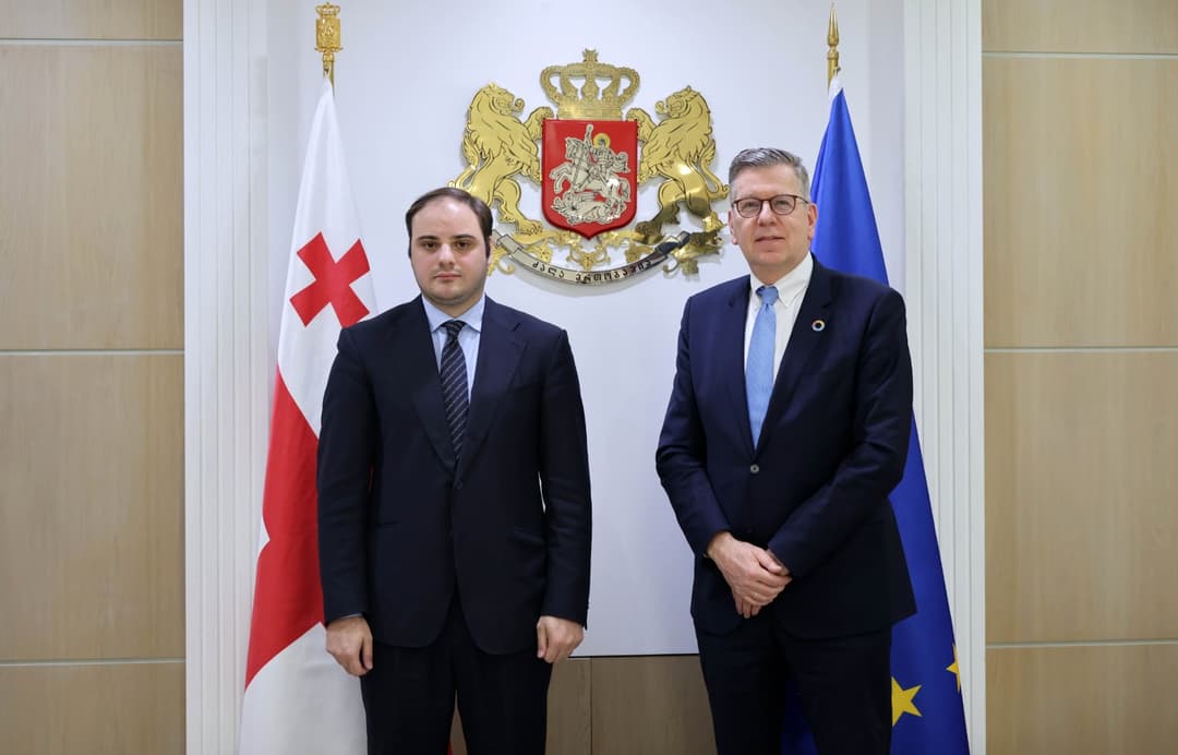 ლევან ჟორჟოლიანი მიგრაციის საერთაშორისო ორგანიზაციის (IOM) ევროპისა და ცენტრალური აზიის რეგიონულ დირექტორს შეხვდა