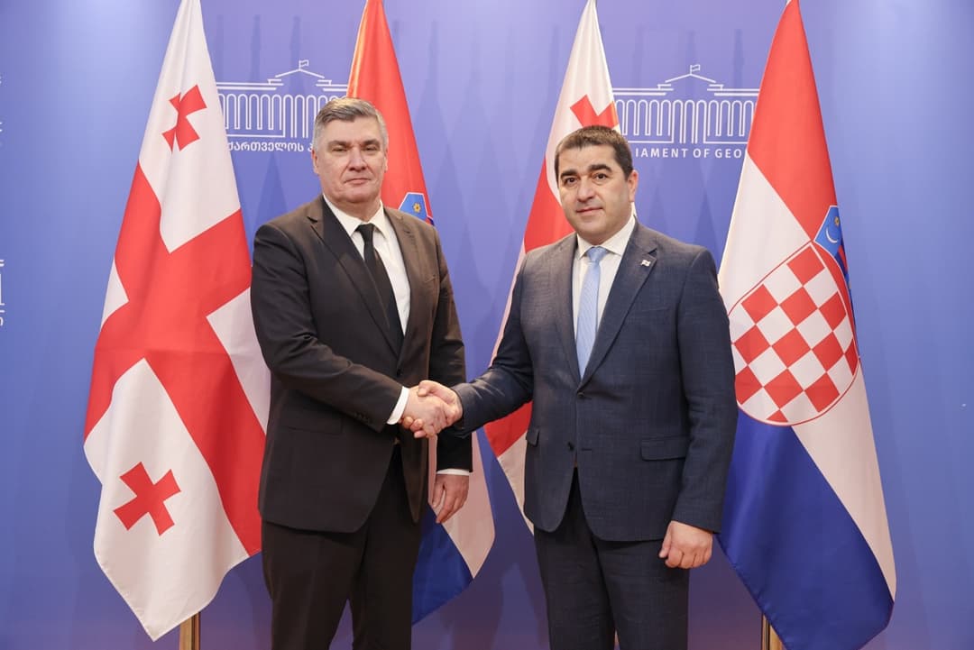 შალვა პაპუაშვილი ხორვატიის რესპუბლიკის პრეზიდენტს შეხვდა
