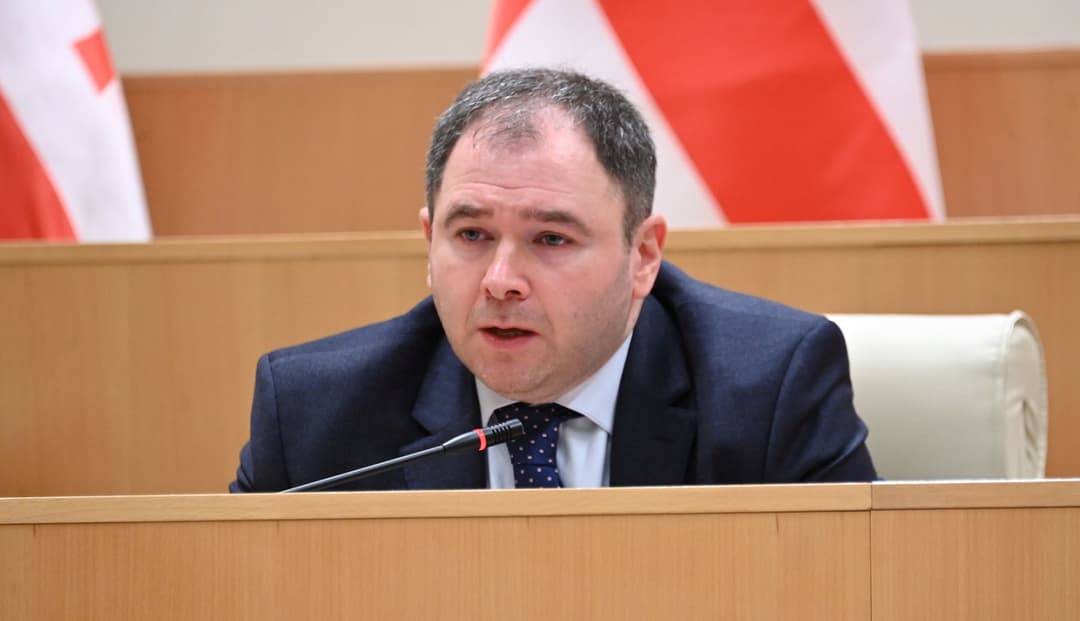 ნიკოლოზ სამხარაძე - არავის მივცემთ უფლებას, რომ საქართველოს საგარეო პოლიტიკის მნიშვნელოვანი მიმართულებები შეგვაცვლევინოს