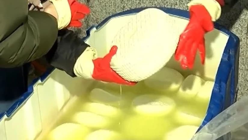 ქუთაისში "ყველის" კუსტარული საწარმო გამოავლინეს