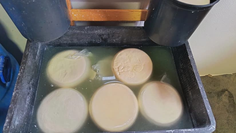 ქვემო ქართლში, სამეგრელოსა და იმერეთში რძის გადამმუშავებელი არალეგალური საწარმოები გამოვლინდა