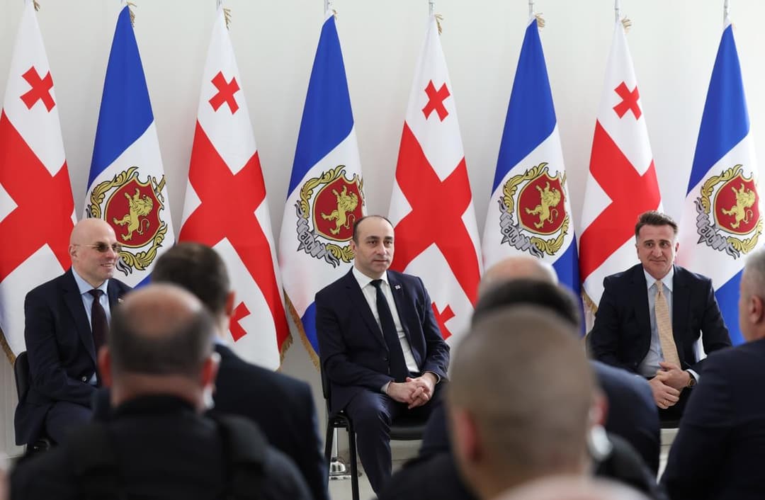 გეკა გელაძემ დროებითი მოთავსების უზრუნველყოფის დეპარტამენტში სამუშაო შეხვედრა გამართა