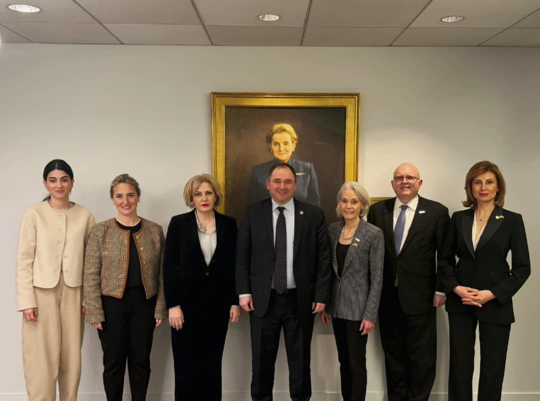 საპარლამენტო დელეგაციამ ვაშინგტონში ანალიტიკურ ცენტრებში შეხვედრები გამართა