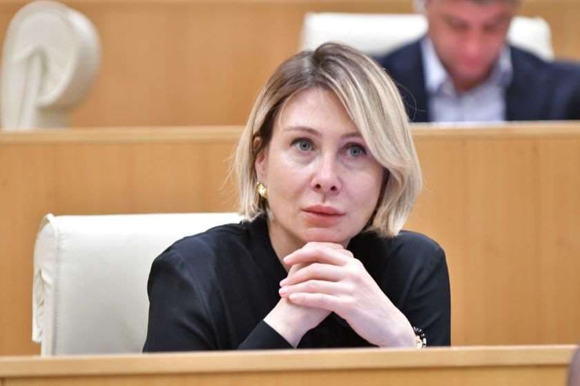 Georgian Parliament Vice Speaker accuses ex-Defense Minister of ‘disinformation’