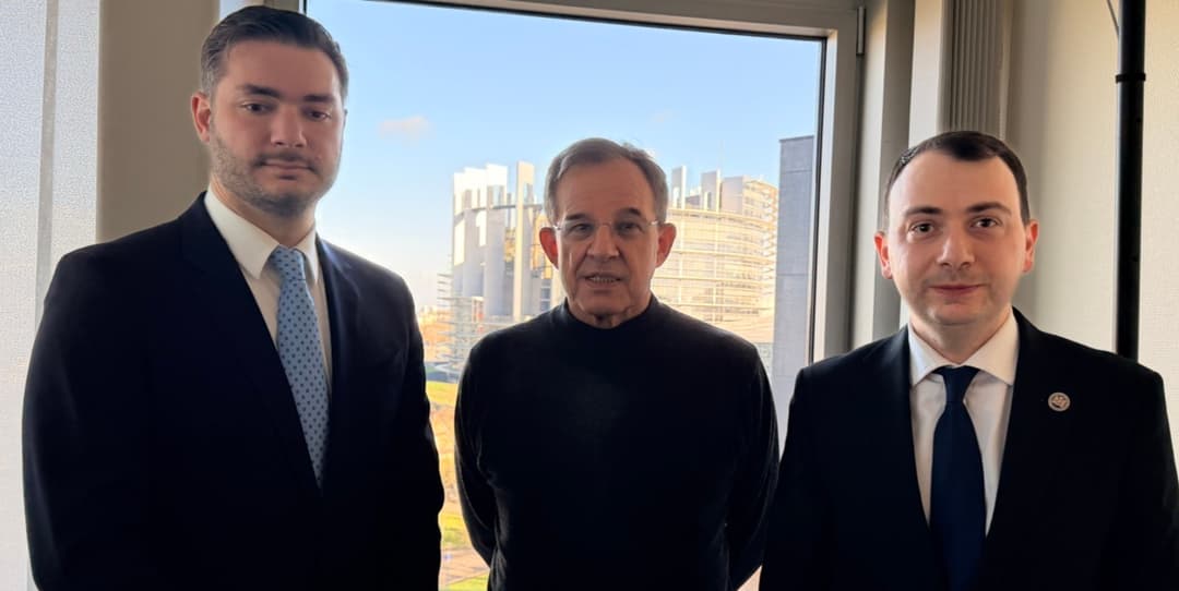 Georgian parliamentary delegation holds meetings at European Parliament and Council of Europe