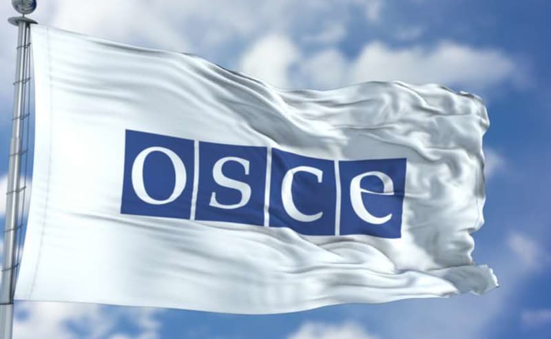 Organization for Security and Co-operation in Europe publishes report on Georgia under Moscow Mechanism