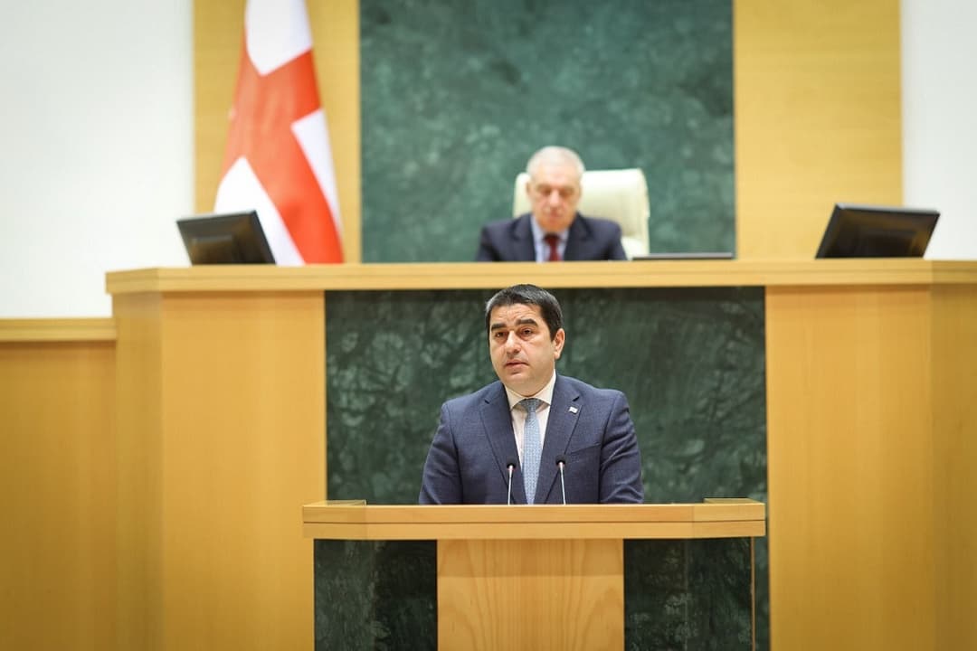 Georgia’s parliament speaker stresses national interests over geopolitical labels in annual address