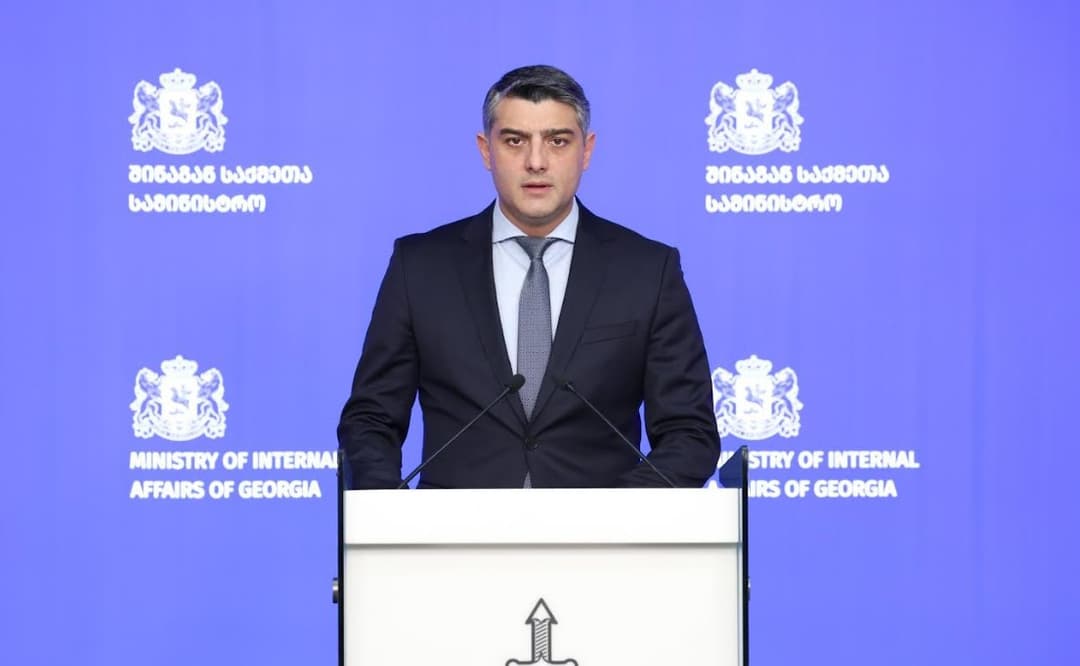 სამართალდამცველებმა სხვადასხვა ნეონაცისტური დაჯგუფებისა და ფაშისტური იდეოლოგიის მხარდამჭერი 13 პირი დააკავეს, მათ შორის 7 არასრულწლოვანია