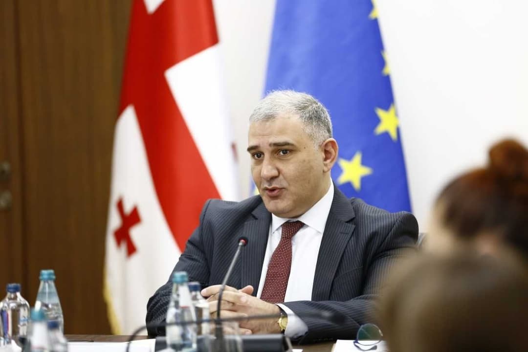 Georgian Health Minister announces plans to expand list of medicines subject to reference pricing