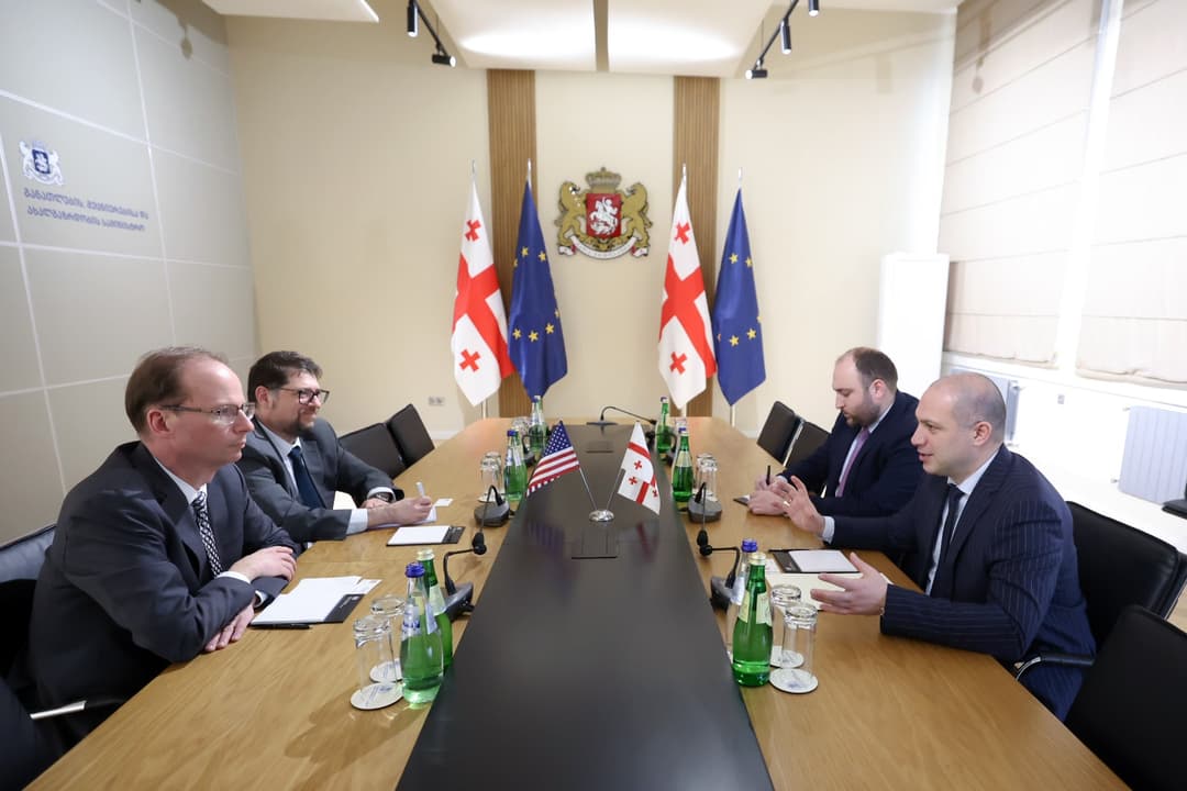 Georgian Education Minister meets acting US Ambassador to discuss strategic cooperation