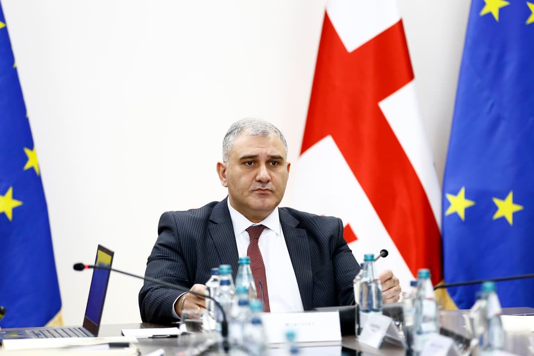 მიხეილ სარჯველაძე - კომერციულ ინტერესს, რომელიც შეუთავსებელ კონფლიქტში ექცევა პაციენტების ინტერესთან, გასაქანი არ უნდა მიეცეს