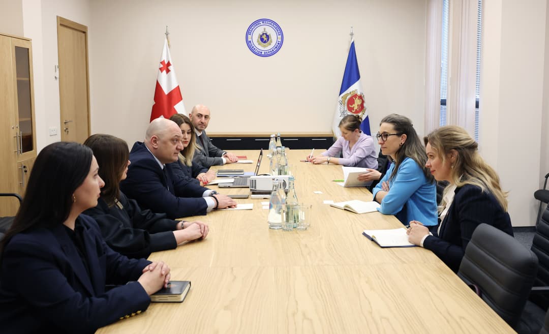 შსს-ს მიგრაციის დეპარტამენტს შვეიცარიის დელეგაცია ესტუმრა