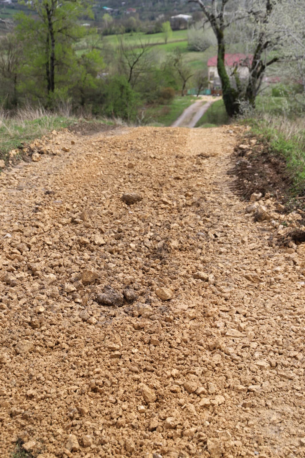 <p style="text-align: justify">აღდგომის ბრწყინვალე დღესასწაულის მოახლოებასთან დაკავშირებით, თერჯოლის მუნიციპალიტეტის მერიის ორგანიზებით, დღეს თერჯოლაში არსებული სასაფლაო და მისი მიმდებარე ტერიტორია დასუფთავდა.</p><p style="text-align: justify">მუნიციპალიტეტის წარმომადგენლებმა სასაფლაოს მიმდებარე ტერიტორია სამშენებლო და საყოფაცხოვრებო ნარჩენებისგან გაწმინდეს.</p><p style="text-align: justify">შეგროვილი ნარჩენები გატანილ იქნა დასუფთავების მუნიციპალური ცენტრის სპეციალური ტექნიკის გამოყენებით.</p><p style="text-align: justify">დღესვე, სასაფლაოსთან მისასვლელი გზა მოწესრიგდა რუფოთში, ჩხარსა და ალისუბანში.</p><p style="text-align: justify">მუნიციპალიტეტის მასშტაბით, სასაფლაოებთან მისასვლელი გზების მოწესრიგება და მიმდებარე ტერიტორიების დასუფთავების აქციები მთელი კვირის მანძილზე გაგრძელდება.</p>