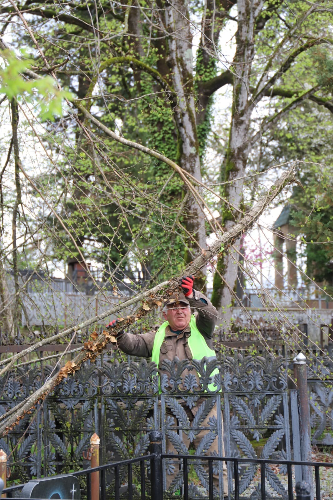 <p style="text-align: justify">აღდგომის ბრწყინვალე დღესასწაულის მოახლოებასთან დაკავშირებით, თერჯოლის მუნიციპალიტეტის მერიის ორგანიზებით, დღეს თერჯოლაში არსებული სასაფლაო და მისი მიმდებარე ტერიტორია დასუფთავდა.</p><p style="text-align: justify">მუნიციპალიტეტის წარმომადგენლებმა სასაფლაოს მიმდებარე ტერიტორია სამშენებლო და საყოფაცხოვრებო ნარჩენებისგან გაწმინდეს.</p><p style="text-align: justify">შეგროვილი ნარჩენები გატანილ იქნა დასუფთავების მუნიციპალური ცენტრის სპეციალური ტექნიკის გამოყენებით.</p><p style="text-align: justify">დღესვე, სასაფლაოსთან მისასვლელი გზა მოწესრიგდა რუფოთში, ჩხარსა და ალისუბანში.</p><p style="text-align: justify">მუნიციპალიტეტის მასშტაბით, სასაფლაოებთან მისასვლელი გზების მოწესრიგება და მიმდებარე ტერიტორიების დასუფთავების აქციები მთელი კვირის მანძილზე გაგრძელდება.</p>