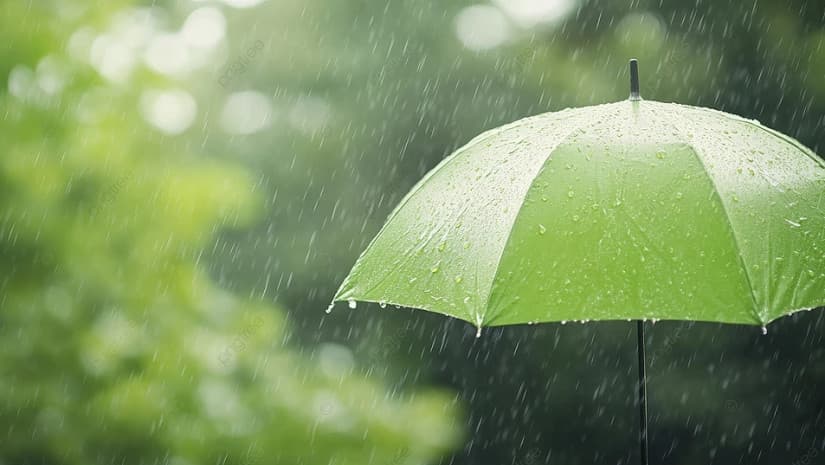 14 აპრილამდე მოსალოდნელი ამინდი საქართველოში