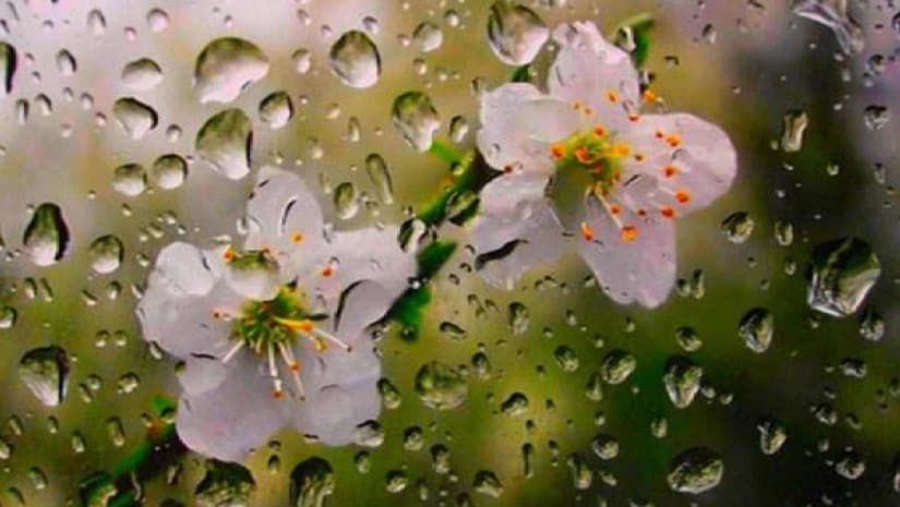 19-21 აპრილს მოსალოდნელი ამინდი საქართველოში