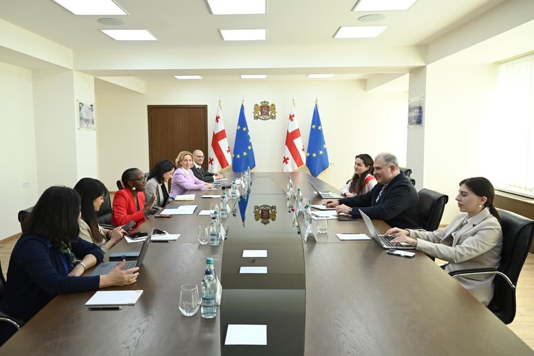 მიხეილ სარჯველაძე მსოფლიო ბანკის წარმომადგენლებს შეხვდა