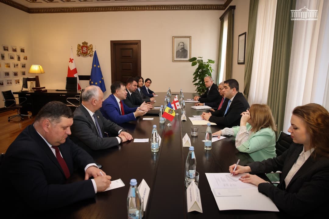 შალვა პაპუაშვილი მოლდოვას საპარლამენტო დელეგაციას შეხვდა