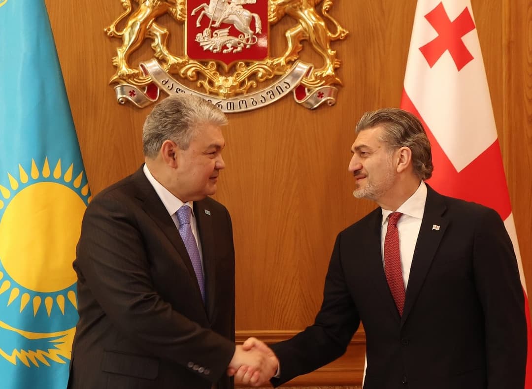 მიხეილ ყაველაშვილი ყაზახეთის რესპუბლიკის საგარეო საქმეთა მინისტრს შეხვდა   