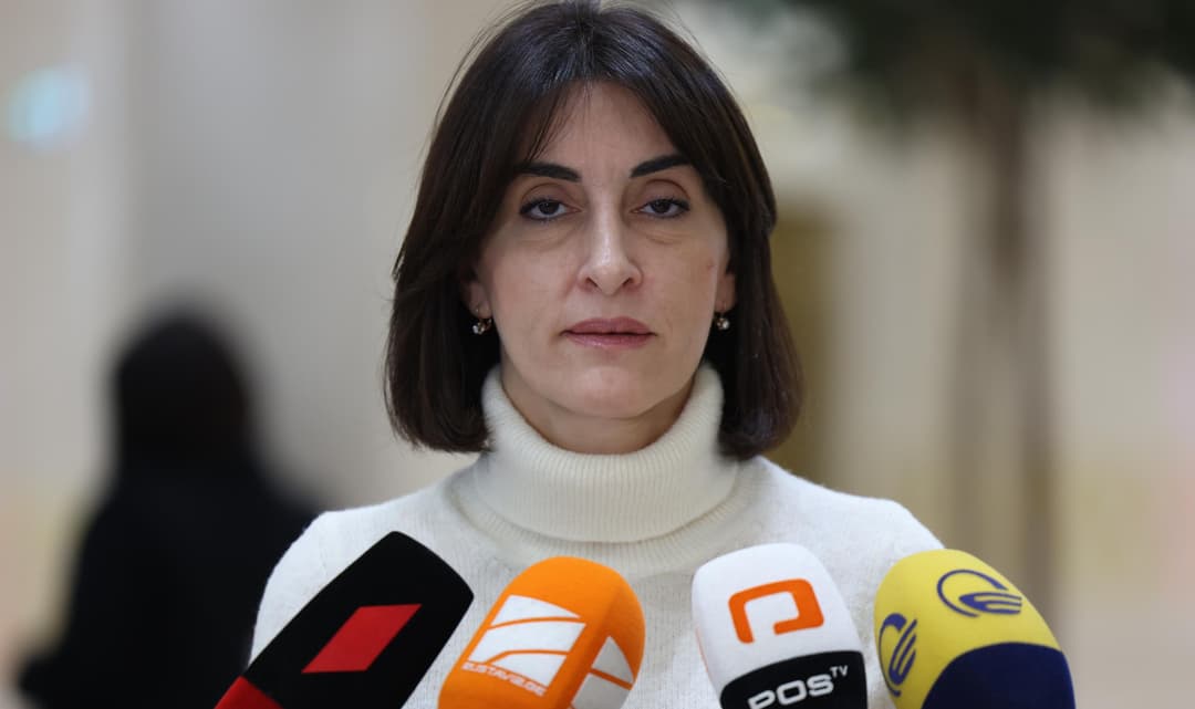 FM Maka Bochorishvili: Georgia’s unique advantages cannot be replaced