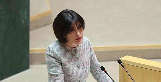Gov’t priority is preserving peace amid security challenges and occupation, FM Botchorishvili 